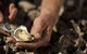 Food, Wine And Farmers Gate Journey On The Legendary Pacific Coast - thumb 2