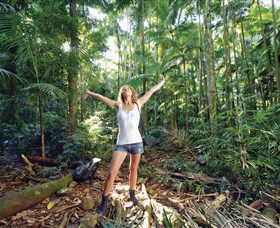 Victoria Park Nature Reserve - Accommodation Sunshine Coast 0