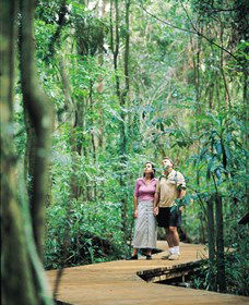 Victoria Park Nature Reserve - Accommodation Sunshine Coast 1
