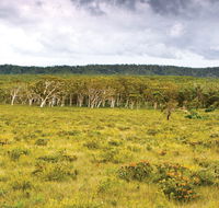 Yuraygir National Park - Accommodation Sunshine Coast