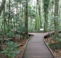 Victoria Park boardwalk - Accommodation Sunshine Coast
