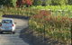 Cassegrain Wines - thumb 0