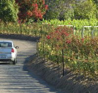 Cassegrain Wines - Accommodation Sunshine Coast