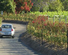 Cassegrain Wines - Accommodation Sunshine Coast 0