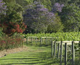Cassegrain Wines - Accommodation Sunshine Coast 1