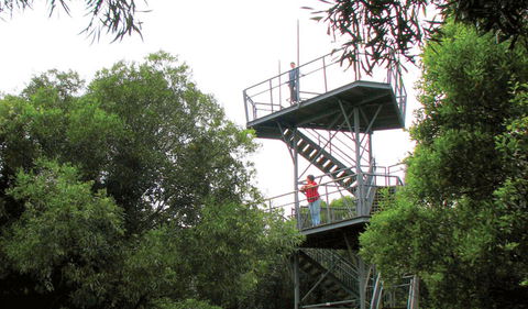 Cape Hawke Lookout - Accommodation Sunshine Coast 0