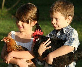 Summerland House Farm - House With No Steps - Accommodation Sunshine Coast 2