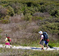 Yuraygir coastal walk - Accommodation Sunshine Coast