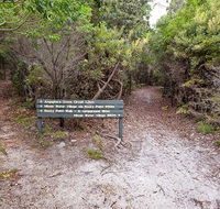 Angophora grove walking track - Accommodation Sunshine Coast