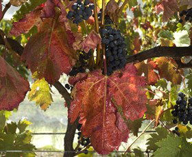 Mimosa Wines - Accommodation Sunshine Coast 1