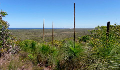 Broadwater National Park - Accommodation Sunshine Coast 1