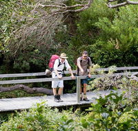Wilsons Headland walking track - Accommodation Sunshine Coast