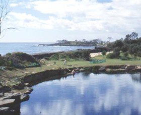 Angourie Blue Pool - Accommodation Sunshine Coast 1