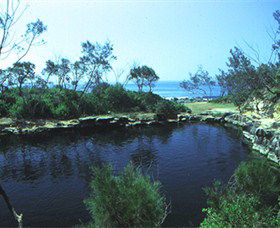 Angourie Blue Pool - Accommodation Sunshine Coast 2