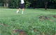 Teven Valley Golf Course - thumb 2
