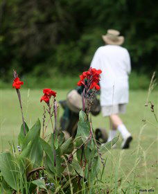 Teven Valley Golf Course - Accommodation Sunshine Coast 3