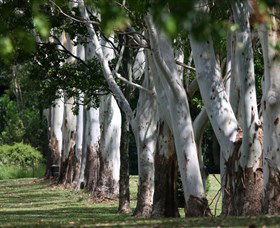Teven Valley Golf Course - Accommodation Sunshine Coast 1