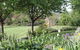 Ivy Hill Gallery - thumb 3