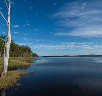 Lake Innes Nature Reserve - Accommodation Sunshine Coast