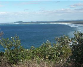 Delicate Beach - Accommodation Sunshine Coast 0