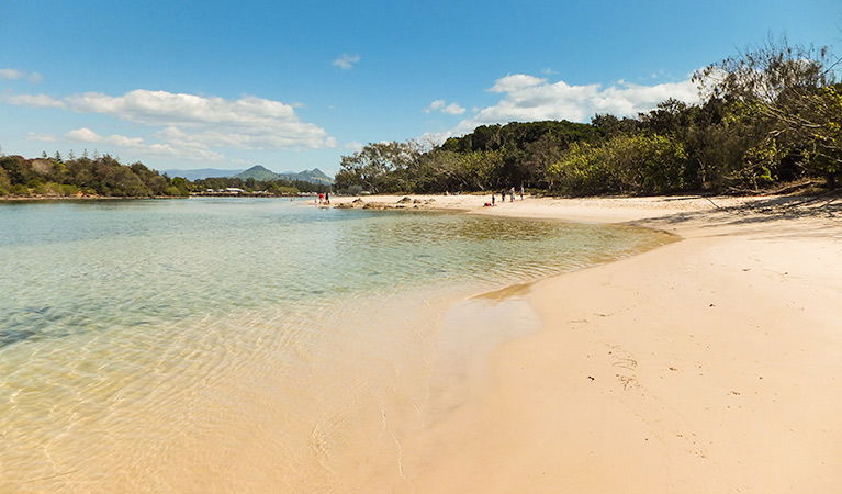 Brunswick Heads NSW Accommodation Sunshine Coast