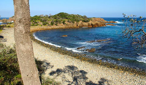 Mimosa Rocks Walking Track - Accommodation Sunshine Coast 2