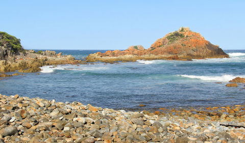 Mimosa Rocks Walking Track - Accommodation Sunshine Coast 3