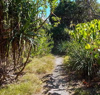 North Head walking track - Accommodation Sunshine Coast