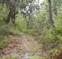 Kinchela Trig Lookout walk - Accommodation Sunshine Coast