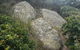 Korogoro Walking Track - thumb 2