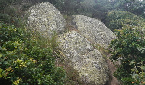 Korogoro Walking Track - Accommodation Sunshine Coast 2