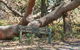 Middle Lagoon Walking Track - thumb 0