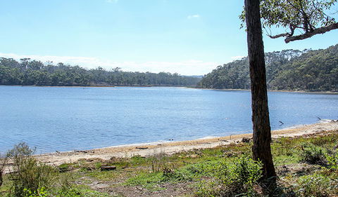 Middle Lagoon Walking Track - Accommodation Sunshine Coast 1