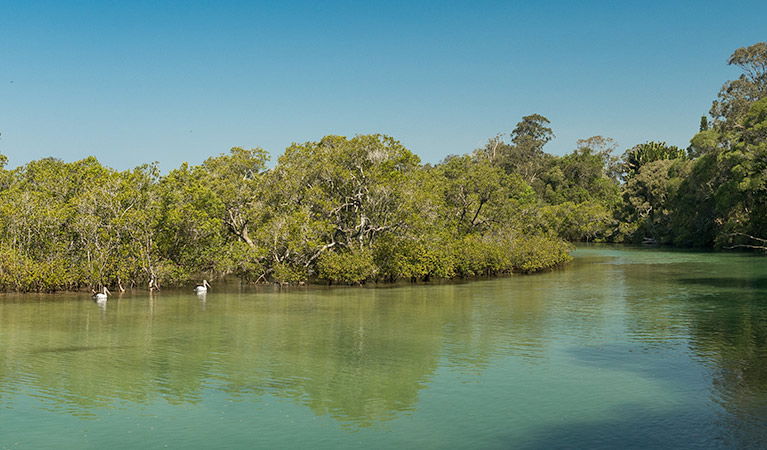  Accommodation Sunshine Coast