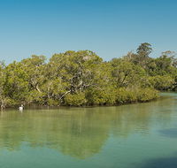 Tyagarah Nature Reserve - Accommodation Sunshine Coast