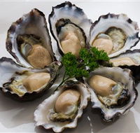 Tathra Oysters - Accommodation Sunshine Coast