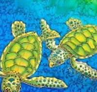 Sea Silks Gallery - Accommodation Sunshine Coast
