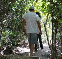 Three Sisters walking track - Accommodation Sunshine Coast
