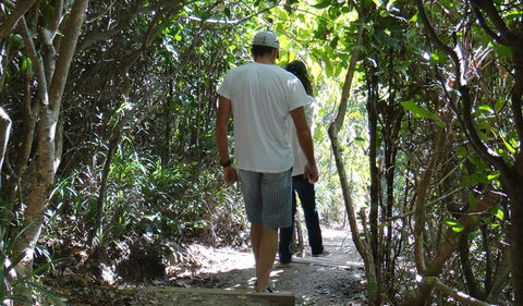 Three Sisters Walking Track - Accommodation Sunshine Coast 0