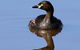 Panboola Wetlands - thumb 0