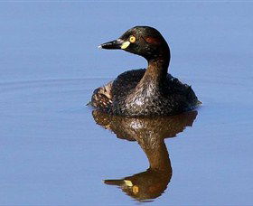 Panboola Wetlands - Accommodation Sunshine Coast 0