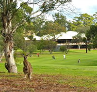 Pambula Merimbula Golf Club - Accommodation Sunshine Coast