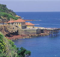 Merimbula Aquarium - Accommodation Sunshine Coast