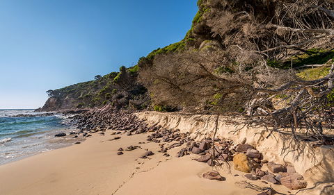 Terrace Beach And Lennards Island - Accommodation Sunshine Coast 2