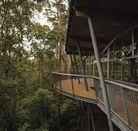 Tarkine Forest Adventures - Dismal Swamp - Accommodation Sunshine Coast