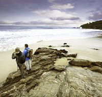 Wilderness Coast Walk - Accommodation Sunshine Coast