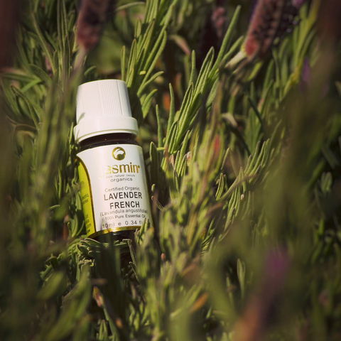 Jasmin Organics Skincare Farm And Factory - Accommodation Sunshine Coast 7