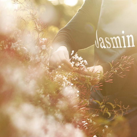 Jasmin Organics Skincare Farm And Factory - Accommodation Sunshine Coast 8