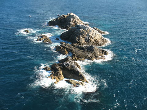 Cape Byron Marine Park - Accommodation Sunshine Coast 1