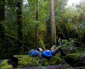Roger River TAS Accommodation Sunshine Coast